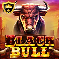 BLACK BULL